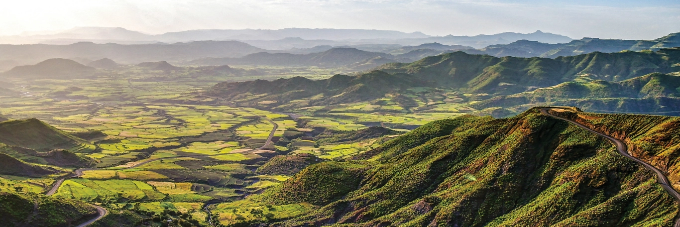 Customer Testimonials Background